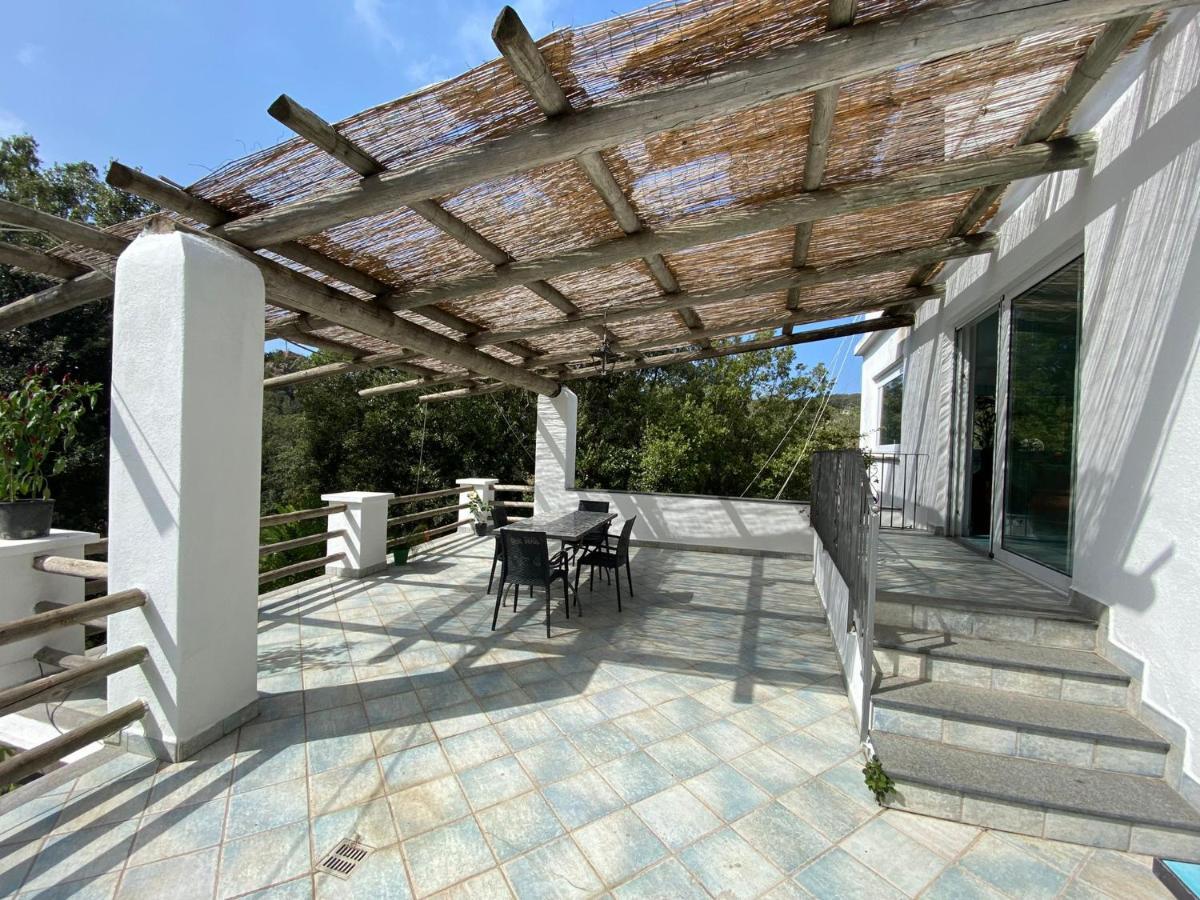 Le Dimore Di Zaro - Green Paradise Forio  ภายนอก รูปภาพ