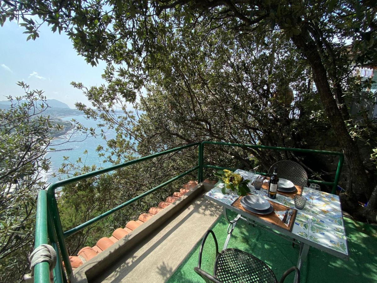 Le Dimore Di Zaro - Green Paradise Forio  ภายนอก รูปภาพ