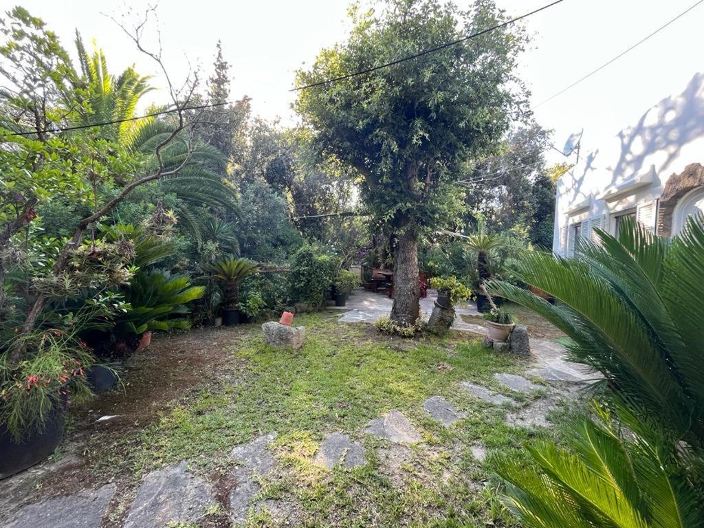Le Dimore Di Zaro - Green Paradise Forio  ภายนอก รูปภาพ